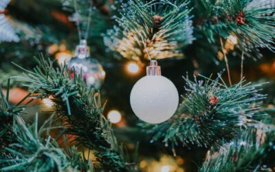 Season’s Greetings from Buchler Phillips