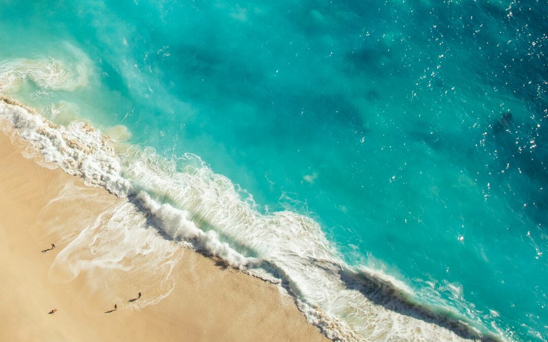Buchler Phillips and BLC launch Cyprus JV