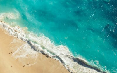 Buchler Phillips and BLC launch Cyprus JV